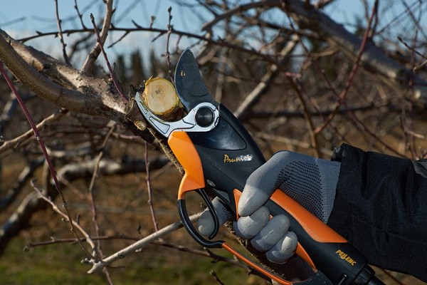  Tagliarami Telescopico Manuale - Forbici E Cesoie Per Potatura /  Utensili Manual: Giardino E Giardinaggio