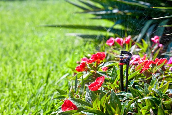 Giardino Sistemi Avanzati Per Lirrigazione